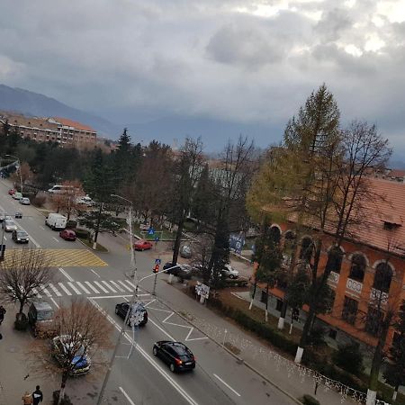 Appartamento Garsoniera Mihaela Petroşani Esterno foto