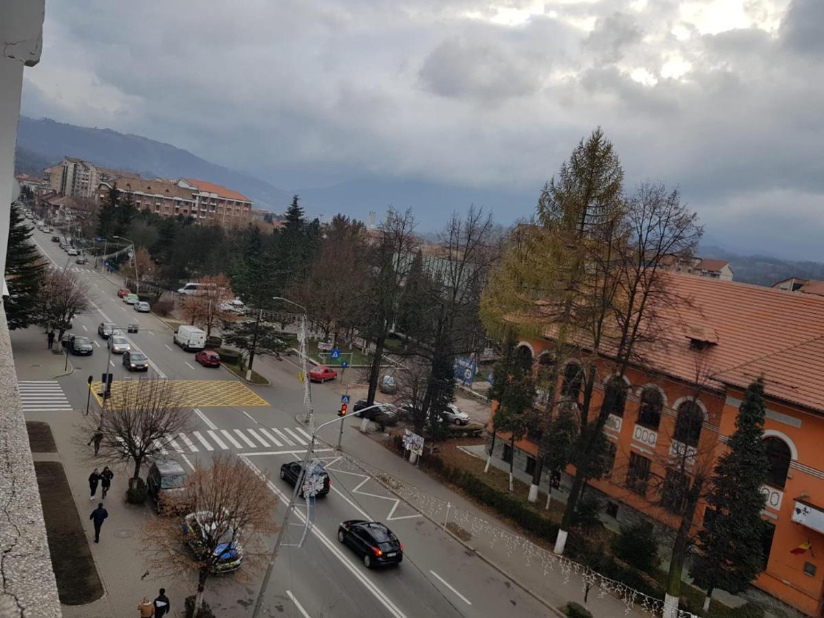 Appartamento Garsoniera Mihaela Petroşani Esterno foto
