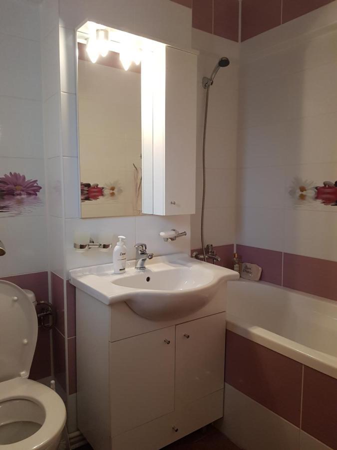 Appartamento Garsoniera Mihaela Petroşani Esterno foto
