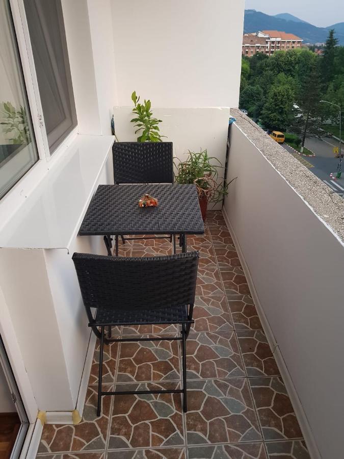 Appartamento Garsoniera Mihaela Petroşani Esterno foto