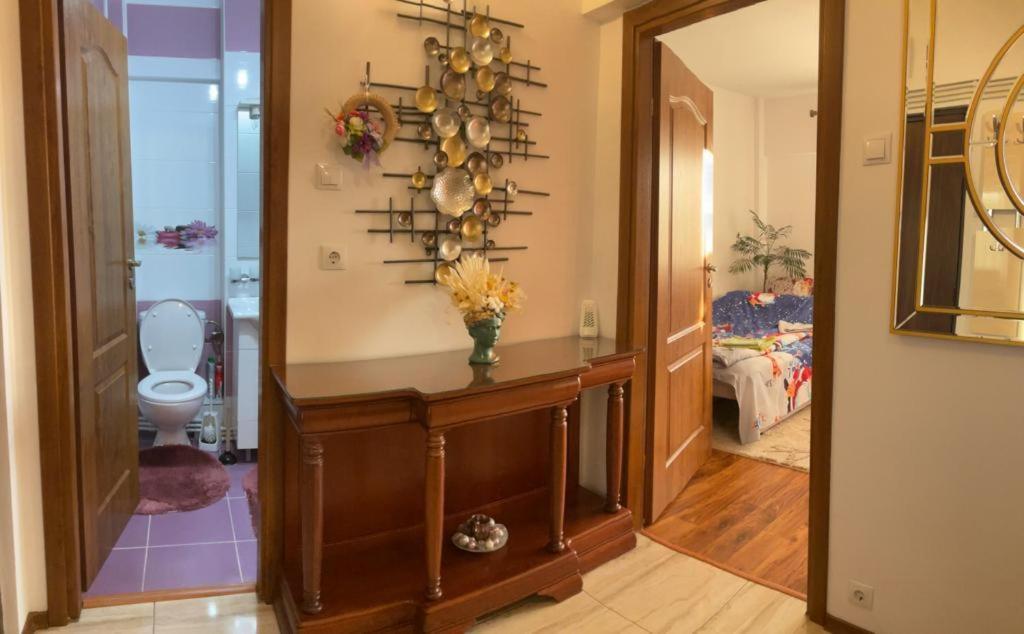 Appartamento Garsoniera Mihaela Petroşani Esterno foto